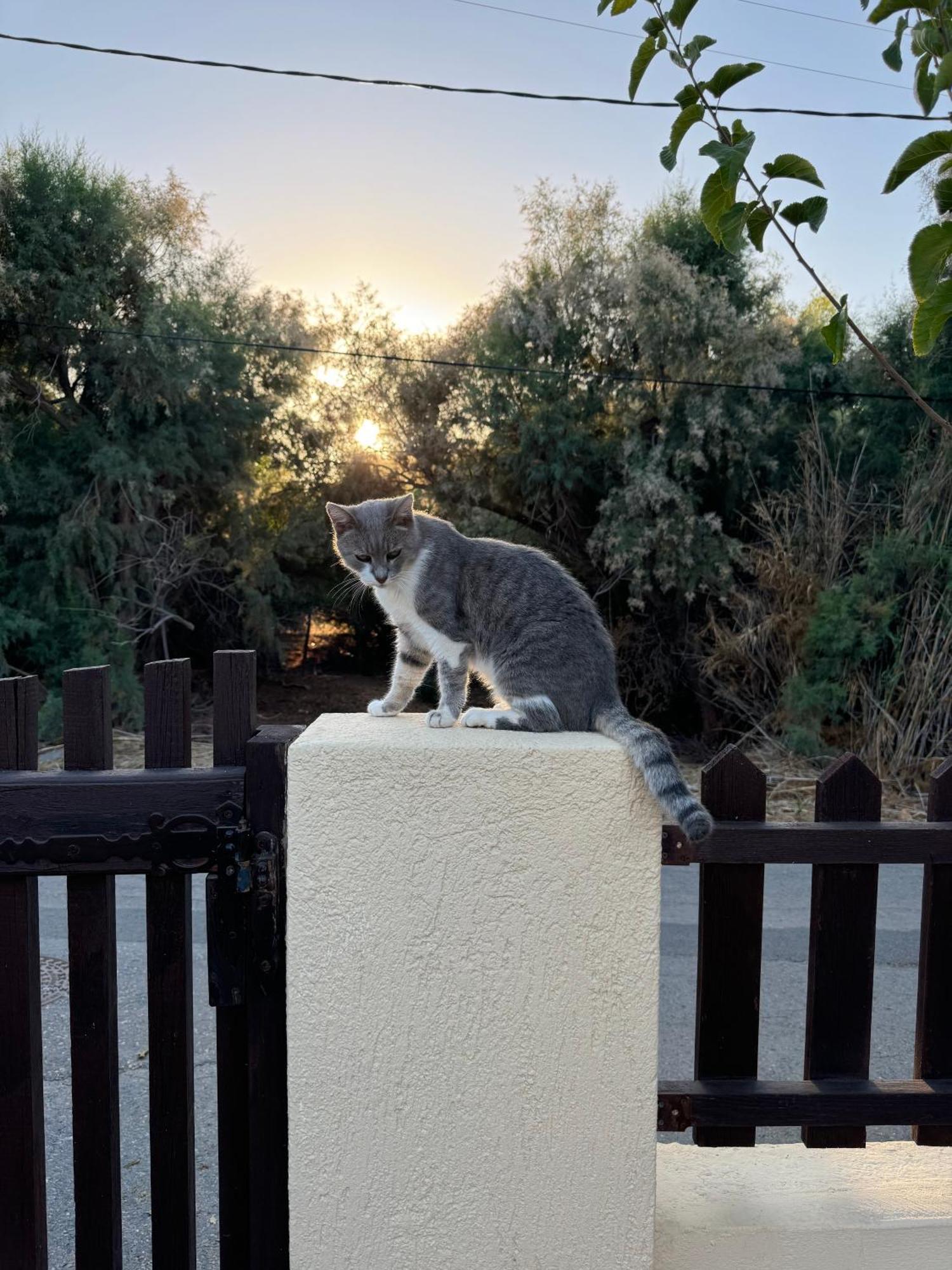 Golden Horizon Retreat, Tranquil Atmosphere Next To The Sea! Tatil Evi Goúrnes