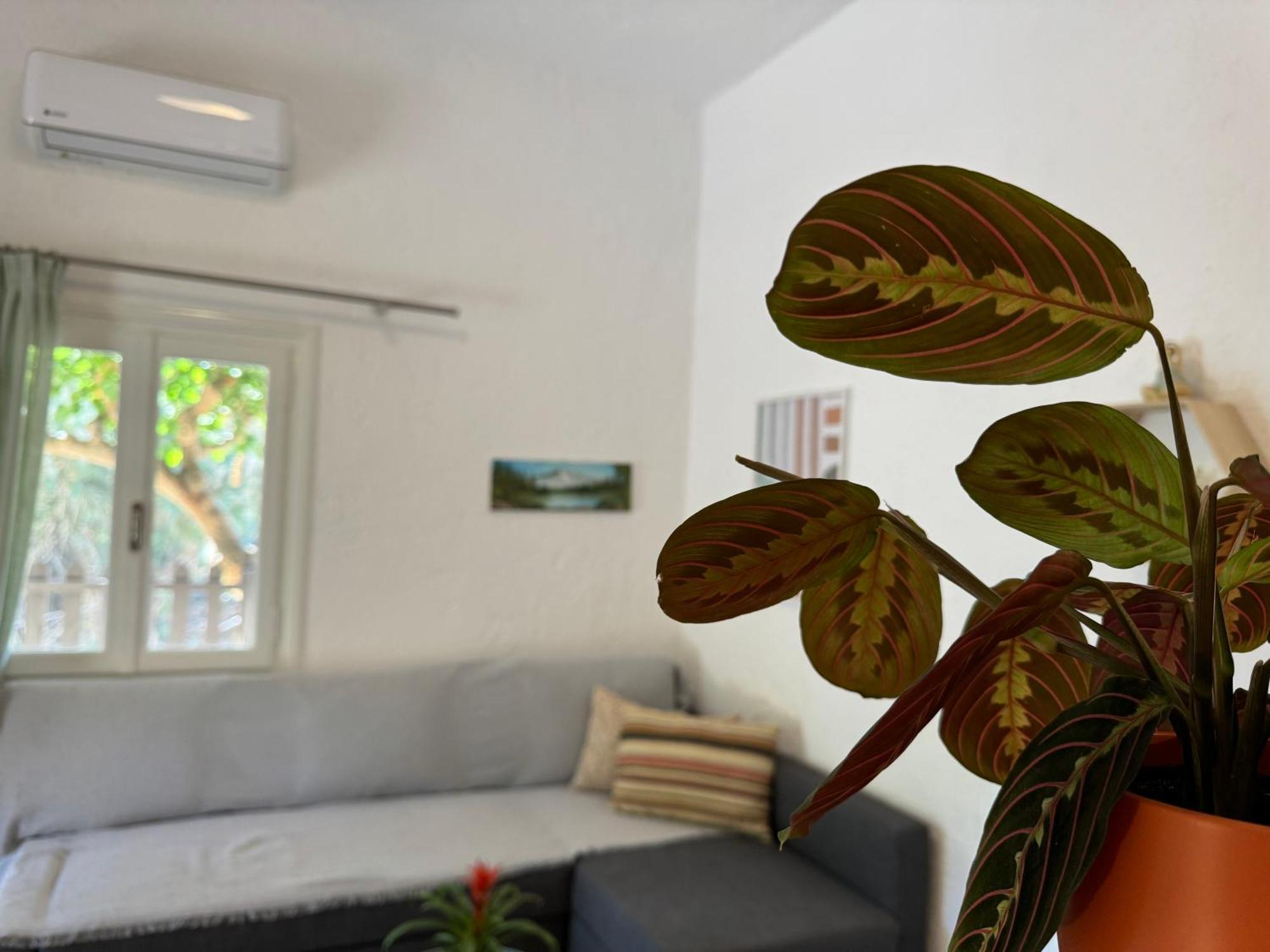 Golden Horizon Retreat, Tranquil Atmosphere Next To The Sea! Gournes Gouvon